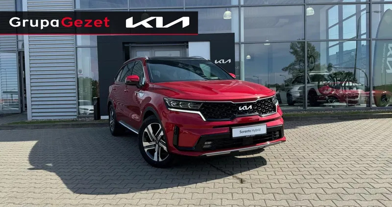 kia Kia Sorento cena 230000 przebieg: 5, rok produkcji 2023 z Kożuchów